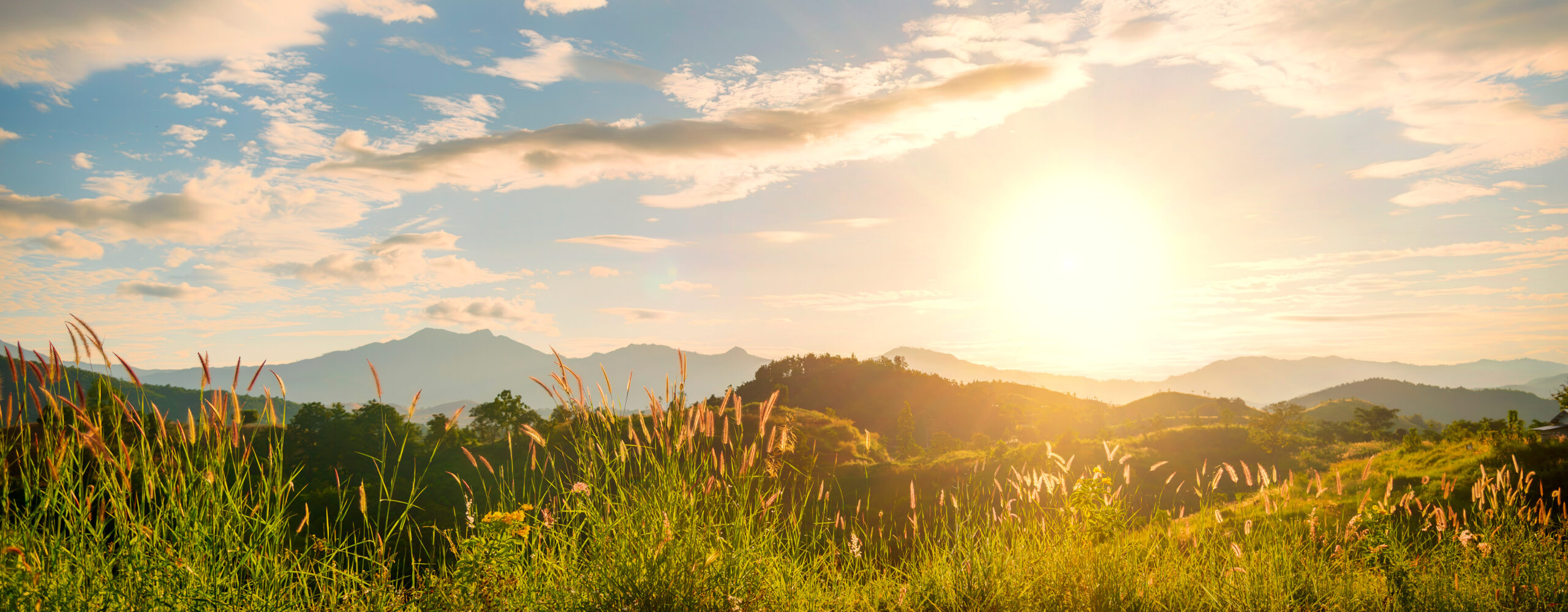 Über mich - ins Licht